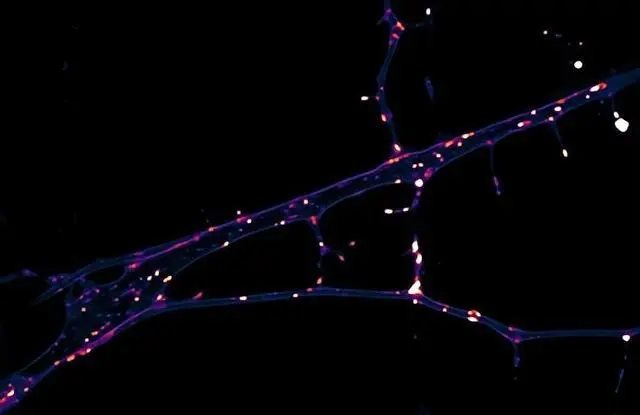 沒有博士學(xué)位,也不是科班出身,他的跨界作業(yè)卻贏了圈內(nèi)高贊