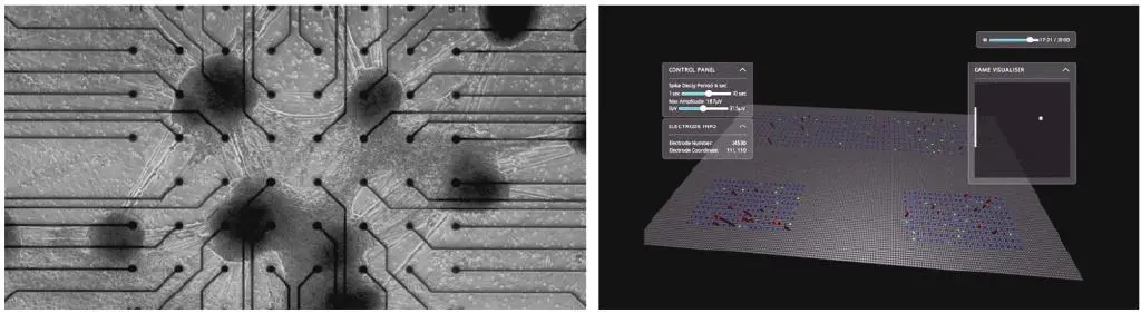 沒有博士學(xué)位,也不是科班出身,他的跨界作業(yè)卻贏了圈內(nèi)高贊