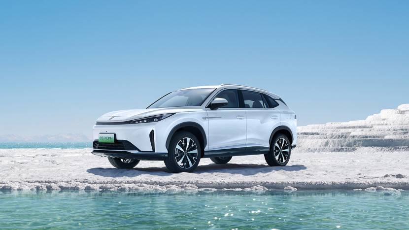 2025新能源電動汽車的銷量排名,DMH混動技術成最大贏家