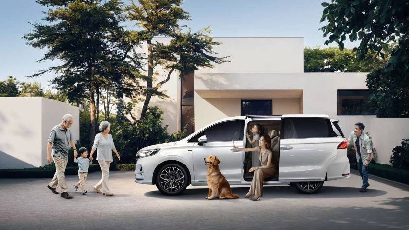 2025新能源電動汽車的銷量排名,DMH混動技術成最大贏家