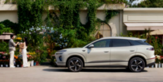 雙車齊發掀桌!海獅06揣100項標配殺進13萬級,這誰頂得住?